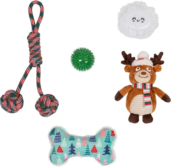 Fringe Studio Pet Toy, Happy Pawlidays Dog Toy Stocking 6 Piece Set, PetShop Collection (630020)