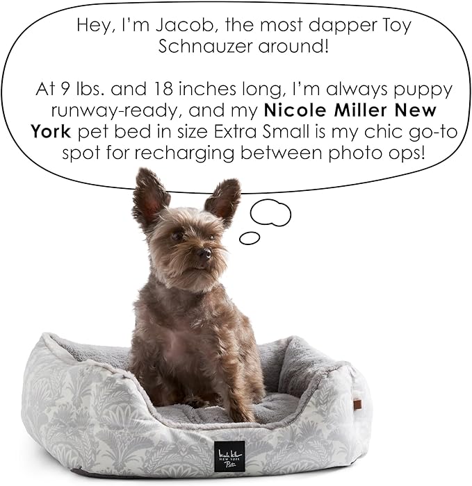 Nicole Miller New York PET Mod Damask Plushy Bolster Pet Bed, Cozy & Calming, Non-Slip Bottom, Machine Washable Cover, Blue, Extra Small 19"x15"x6"