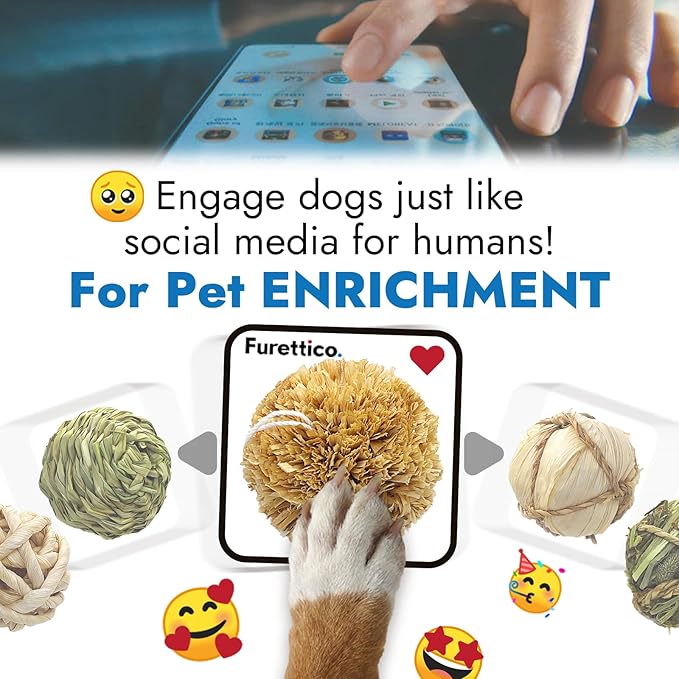 Dog Chew Toys, 3pcs Woven Grass Chew Ball for Dogs, Dental Teething & Interactive Fetch Toys, Outdoor Digestible Chew Ball for Boredom Relief - Seaweed & Timothy Hay, Cornsilk, CornLeaf