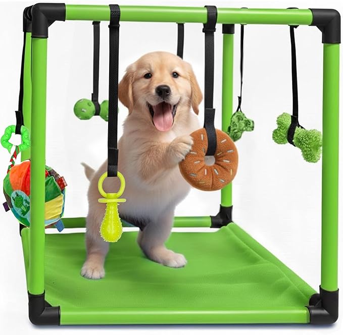 Race&Herd Puppy Play Gym, Dog Play Mat, 8 Bungee Straps Interactive Puppy Active Toys - Small Dog Jungle Gym 19.5" Frame with Playground Set Indoor Enrichment Activity Center (Green)