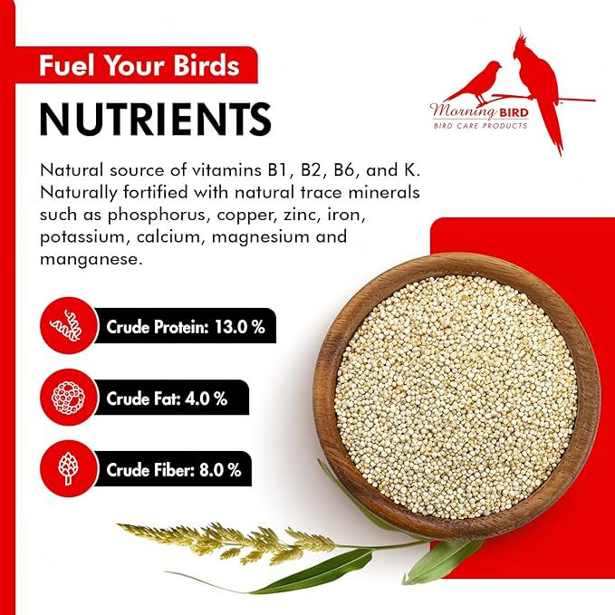 Morning Bird White Proso Millet 4.5 lbs (3-Pack, 1.5 lbs Each) Unhulled Natural Bird Seed – Supports Feather Growth & Balanced Nutrition – High Energy Seed - Ideal for Finches, Parakeets & Pet Birds