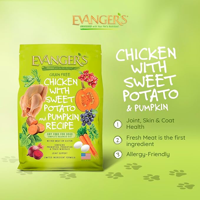Evanger's Grain Free Chicken with Sweet Potato & Pumpkin Dry Food for Dogs – 16.5 lb Bag – Deboned Chicken, Omegas 3 & 6, Probiotics – All Life Stages Formula