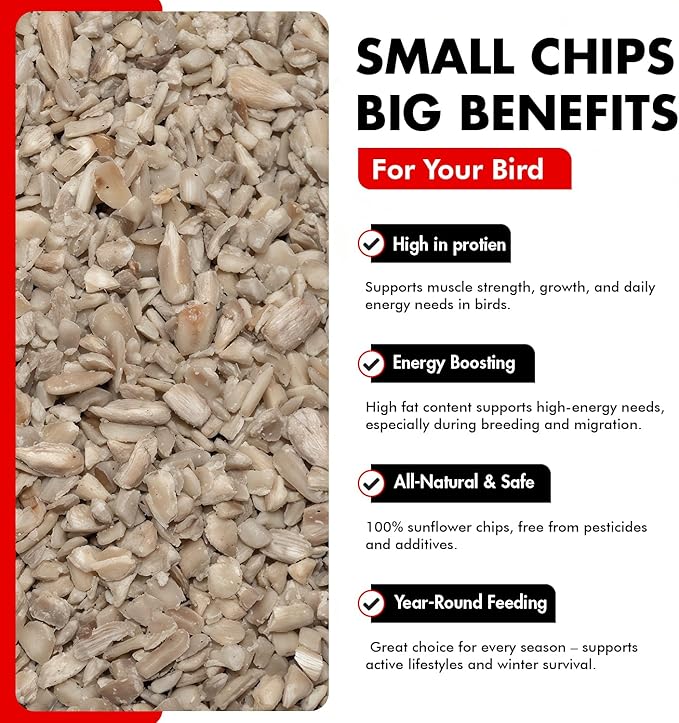 Morning Bird Sunflower Hearts & Chips 1.5 lbs – Premium Bird Seed with High Protein & Healthy Fat - Shelled Sunflower Hearts for Birds - Mess Free, Easy to Feed, Delicious Snack