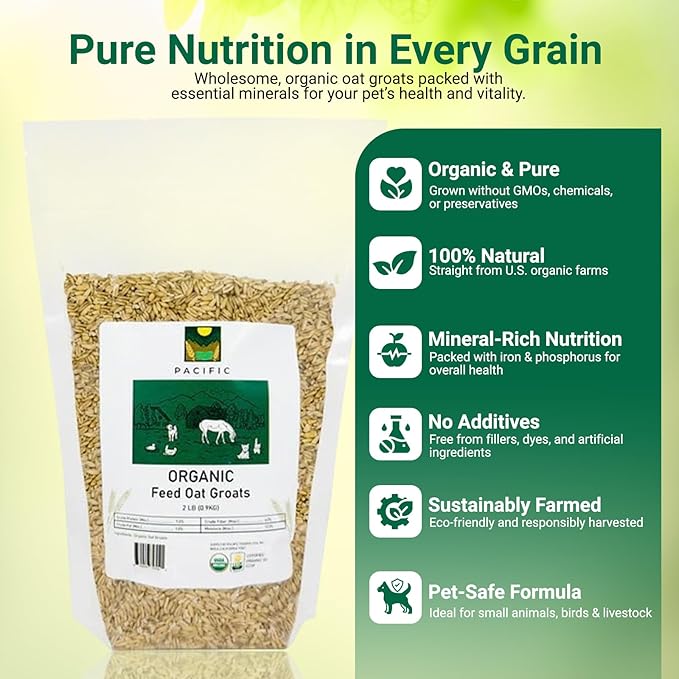 PACIFIC Organic Petfood Organic Feed Oat Groats - Oat Groats for Birds | Rich with Fiber & Minerals | USDA and CCOF Certified | Packed in USA | 2Lbs