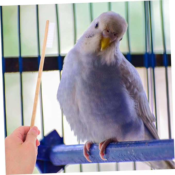 2pcs Bird Cage Cleaning Brush Set Droppings Shovel PET Cage Cleaner Tools for Birds and Small Animals Includes and
