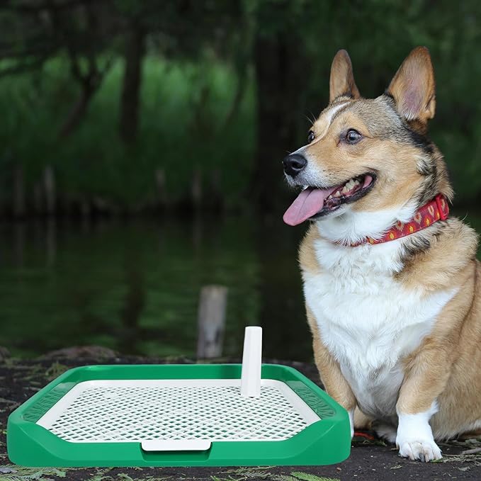 Abaodam Dog Indoor Potty Tray for Small and Medium Dogs with Green Base Puppy Training Litter Box for Housebreaking and Urine Containment