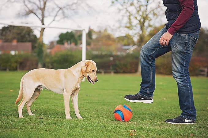 Chuckit! Kick Fetch Ball Large - 2 Pack