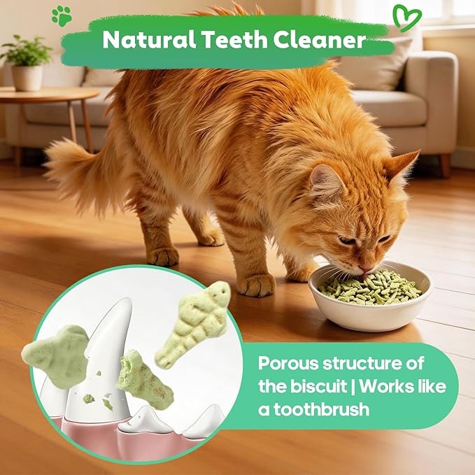 13.4 OZ Catnip Cat Treats for Indoor Cats with Cat Grass Hairball Control & Dental Care Natural Chicken Kitten Snacks Crunchy Training Biscuits for Teeth Cleaning