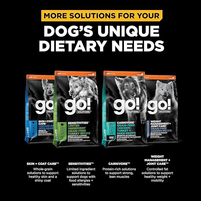 Go! Solutions Digestion + Gut Health Salmon Dry Dog Food, Premium Chicken-Free Kibble for Gastrointestinal & Digestive Wellness, Supports Sensitive Stomachs, for Puppies, Adults & Seniors, 22 lb Bag