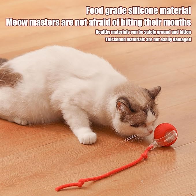 Chewie Viral Rolling Ball for Cats Dogs, Rechargeable Interactive Cat Dog Toys, Active Rolling Ball Cat Toy for Puppy Small Medium Large Dogs, 360° Smart Automatic Rolling Pet Ball