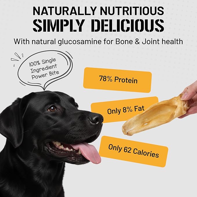 Dog Chits Lamb Ears for Dogs – 100% Natural Baked Lamb Ear Dog Treats – Grain-Free, High Protein, Lower Fat Training Chews – Dental Health & Joint Support – for Large, Medium Dogs – 25 Pack