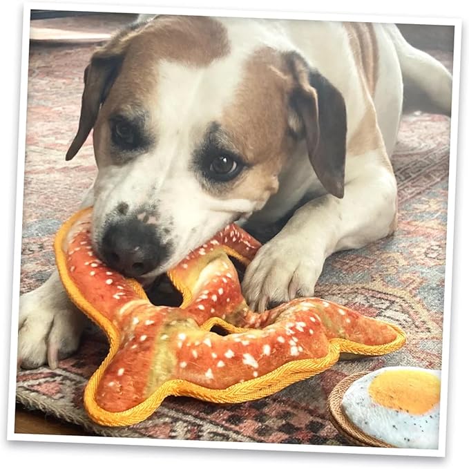 Doggijuana Cafe Combo Refillable Juananip Toy Bundle | Twisted Pretzel & Pretzel Ring | Funny Dog Toy Plush with Catnip and Refill | Interactive Chew Toy for Play