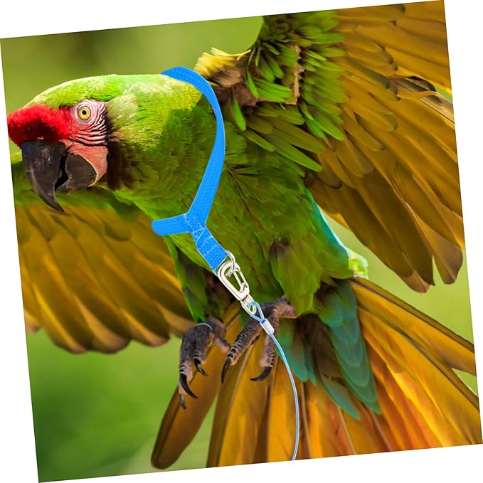 NOLITOY 8pcs Birdcages Accessories Parrot Harness Leash for Outdoor Flying Lightweight and Bird Harness Kit