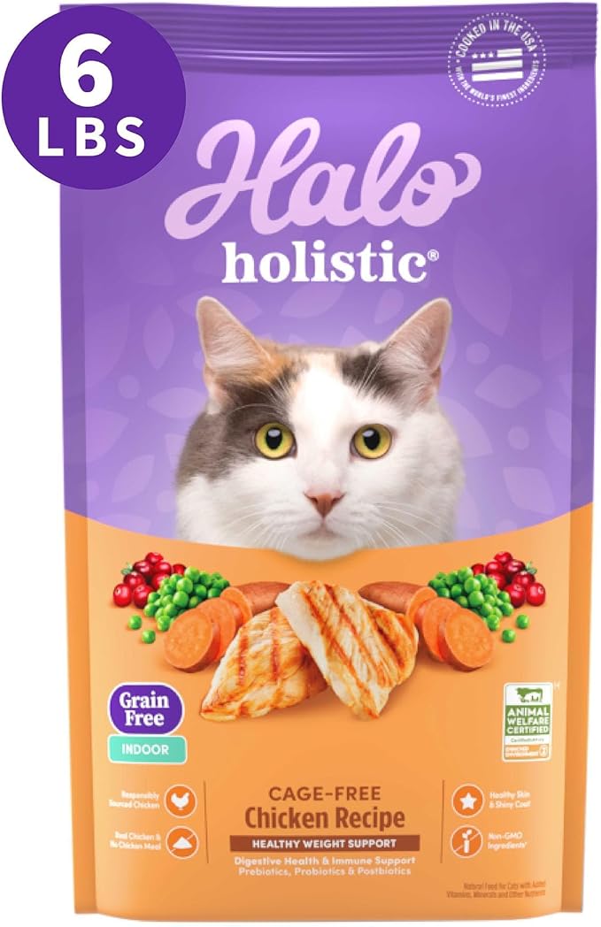Halo Holistic Cage Free Chicken Cat Food, Grain Free Dry Cat Food, For Healthy Weight Support, Kibble for Indoor Cats, 6 lb Bag