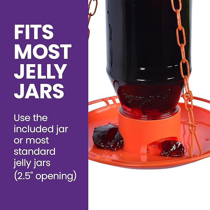 Perky-Pet Wild Oriole Jelly Bird Feeder - 32oz Capacity, Built-in Stirrer with Large Circular Feeding Tray, Wraparound Perch, Outdoor Garden Décor for Backyard Birding & Wildlife, 253