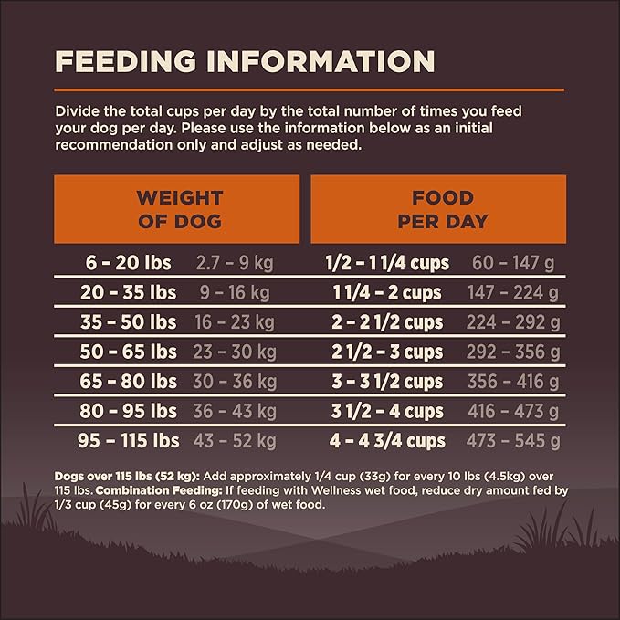 Wellness CORE Adult Dry Dog Food, Wholesome Grain Kibble, Natural, High Protein, Turkey and Chicken Recipe, 24 lb Bag