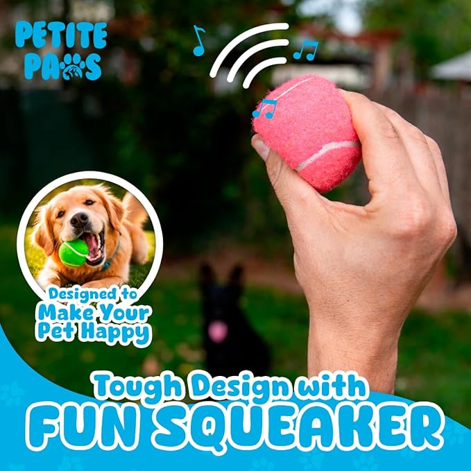 BundleBee Petite Paws Squeaky Tennis Balls for Dogs 2.5 Inch - 12 Pack Dog Toy Balls - Non-Toxic Rubber Squeaky Balls for Medium Large Dogs, Fetch Training Toys, Colorful Bouncy Dog Ball