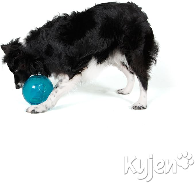 Outward Hound Kyjen Dog Games Moon Rover Rescue