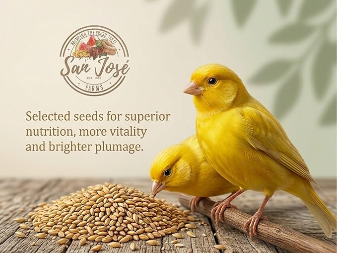Canary Seeds – 15LB Natural Grain for Human Consumption