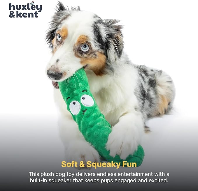 Huxley & Kent Funny Dog Toy w/Squeaker – Power Plush Squeaky Dog Toys for Small, Medium & Large Dogs – Soft Stuffed Animal for Indoor Play & Fetch - Fetchies® Dell Pickle, Large