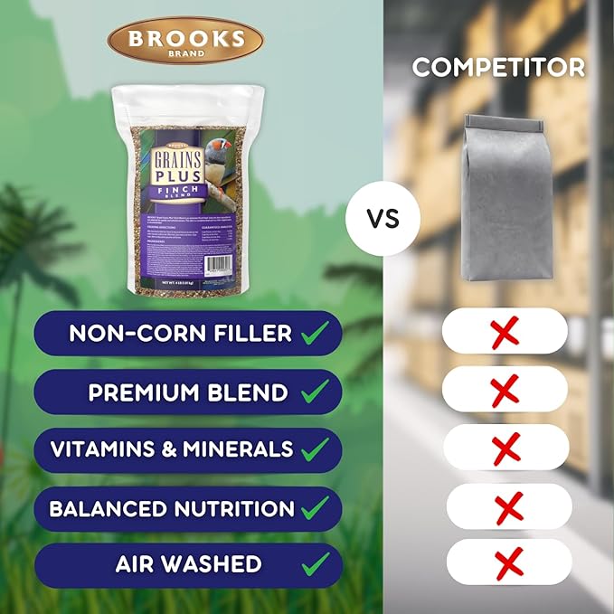 Brooks Brand Grains Plus Finch Blend Bird Food, Nyjer Seeds, Finches Bird Seed Mix, Gold Finch Niger Seeds for Birds, Finches Food for Indoor Birds (4 lbs)