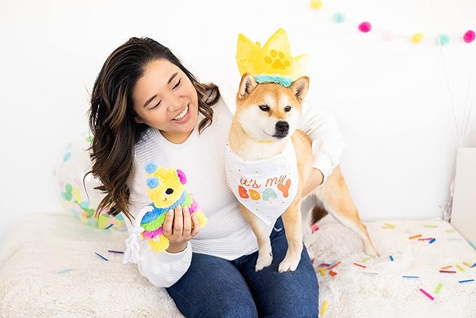 Pearhead Puppy Piñata Dog Toy, Cinco de Mayo Dog Toy with Rope Tug and Crinkle Plush, Interactive Chew Toy for Dogs, Everyday Play Gift