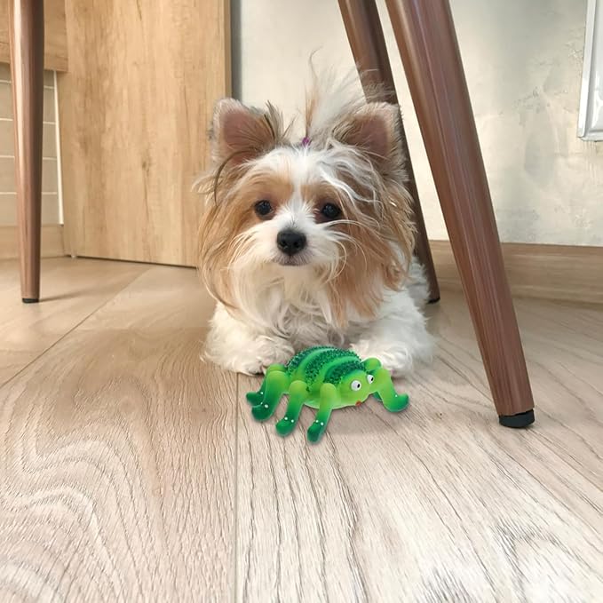 Abaodam Squeaky Pet Chew Toy for Dogs and Cats Small Durable Latex Puppy Teething Plaything Spider and Ladybug Design Interactive Fun