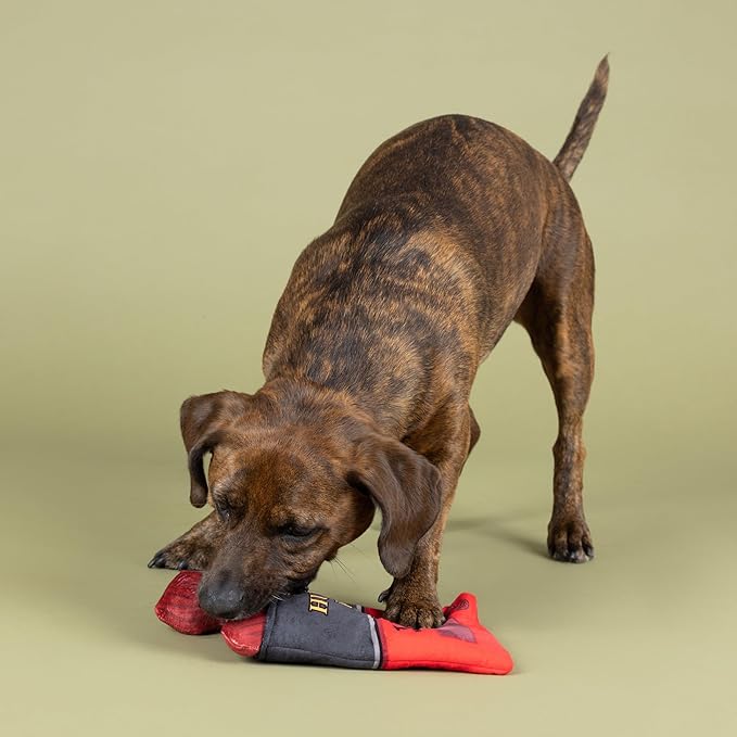 Fringe Studio Plush Dog Toy, Snack Attack, Hide & Seek Interactive Pet Toy, Pet Shop Collection (289228)