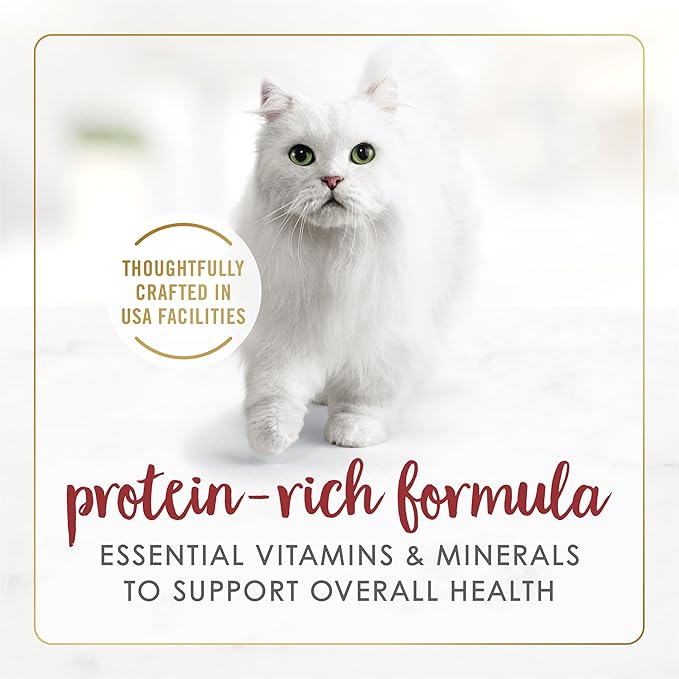 Fancy Feast Purina Gravy Lovers Beef Feast Grilled Gourmet Cat Food in Wet Cat Food Gravy - 3 oz. Cans (Pack of 48)