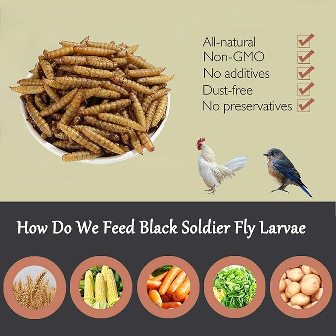 Non-GMO High-Protein Large Dried Black Soldier Fly Larva for Chickens, Natural Grubs and Poultry Treats as Chicken Feed,Duck Food, Wild Birds Seed,Reptile Food(Black Soldier fly-2LB)