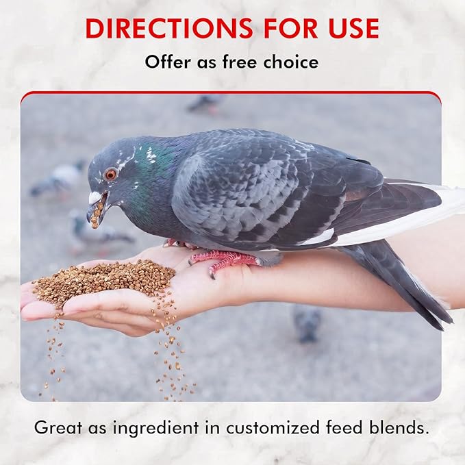 Morning Bird Pigeon Grit - Healthy & Nutritious Pigeon Food to Support Strong Muscles & Bones for Grit Eating Birds - Supports Digestion & Packed with Essential Minerals 9 lbs