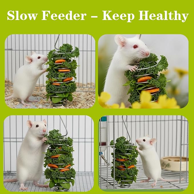 2 PCS Rat Enrichment Toys, Bird Cage Food Holder, 304 Stainless Steel Rat Foraging Toy for Fruit Vegetable Holder, Bird Cage Feeder Foraging Toy for Parakeet, Hanging Rodent Toys Slow Feeder
