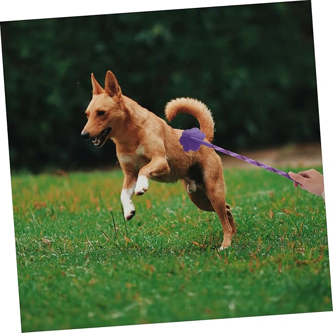 Kisangel 2Pcs Small Paw Shape Dog Training Flexible Rubber Pet Training Tool for Puppies Non Harmful Obedience Aid and Fitness in Pink and Purple