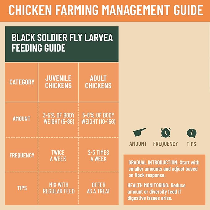 10LB Non-GMO Dried Black Soldier Fly Larvae for Chickens – 85X More Calcium Grubs Than Mealworms for Strong Eggshells & Healthy Growth - High Protein for Chickens, Birds, Ducks, Geese & Pets