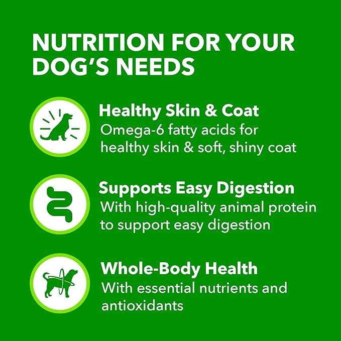 IAMS Proactive Health Wet Dog Food, Adult Wet Dog Food Multipack Ground Dinner, with Lamb & Rice Pate, 13 oz. (Pack of 6)