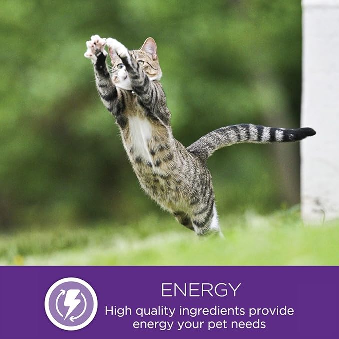 Wellness 4 Pack of Salmon & Cranberries Kittles, 2 Ounces Each, Crunchy Natural Grain-Free Cat Treats