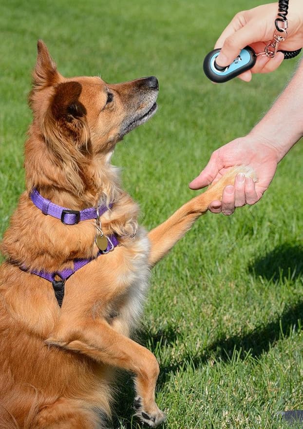 Pet Dog Trainging Clicker with Wrist Band/Clickers for Cat, Horse, Birds or Other Animals (Black + White)