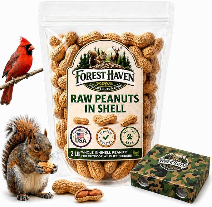 Forest Haven Premium Raw Peanuts for Squirrels – 2LB Bulk Squirrel Food – Unsalted Peanuts in Shell for Birds, Deer & Wildlife – Bonus Binoculars Included - USA Grown