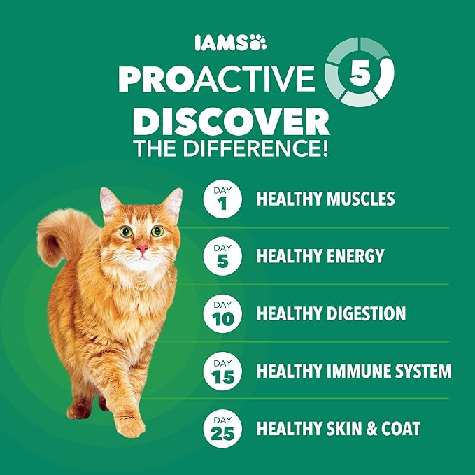 IAMS Proactive Health Senior Dry Cat Food, Cat Food Dry Chicken Recipe, Real Chicken in Every Bite, 3.5 Lb. Bag