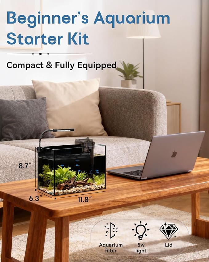 Glass Fish Tank Kit, 2.5 Gallon Betta Fish Tank Aquarium Starter Kit with Filter, Lights, Lid, for Betta, Goldfish, Small Fish or shrimg, Black