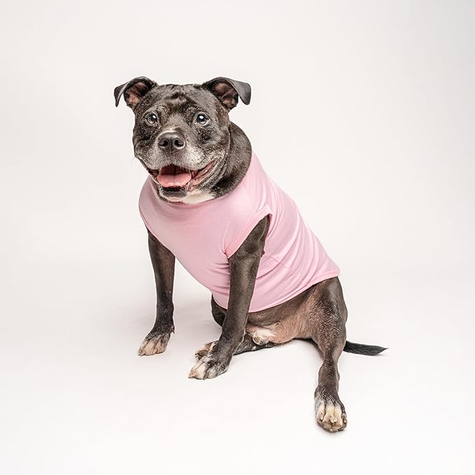Love My Auntie, Aunt, Valentine's Day, Mother's Day Dog Tee Shirt Sizes for Puppies, Toys, and Large Breeds (Royal Blue, 4X-Large 400)