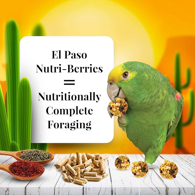 Lafeber Gourmet El Paso Nutri-Berries for Parrots, Balanced Nutrition with Bell Peppers and Exotic Spices, Omega 3 & 6, Vitamins and Minerals, Veterinarian Developed, 4 Pack, 10 oz Each