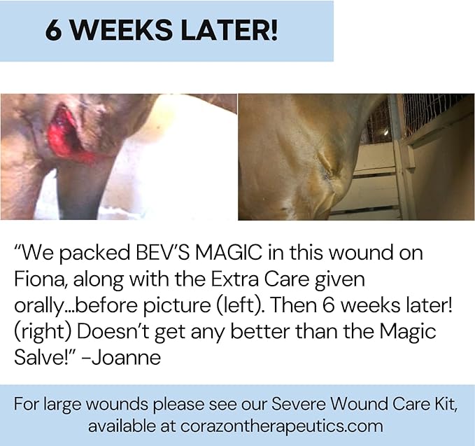 Wound Salve - For Horses, Pets, Livestock & People - Calendula, Shields Abrasions, Stops Infections, Promotes Scabbing, Reduces Inflammation & Scarring, Vet-Approved - Bev's Magic Salve (12 oz)