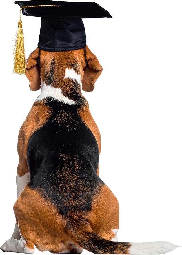Rubies Graduate Pet Hat for Dogs or Cats, M/L