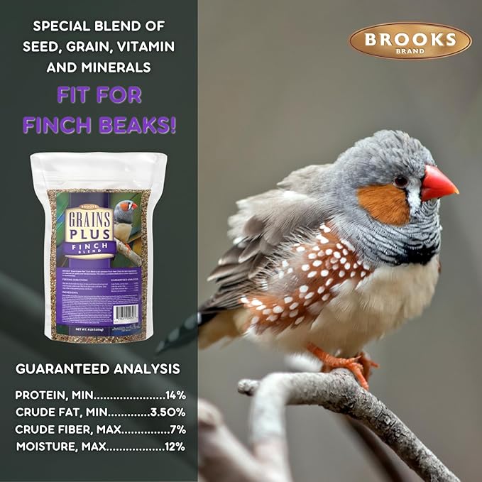 Brooks Brand Grains Plus Finch Blend Bird Food, Nyjer Seeds, Finches Bird Seed Mix, Gold Finch Niger Seeds for Birds, Finches Food for Indoor Birds (4 lbs)