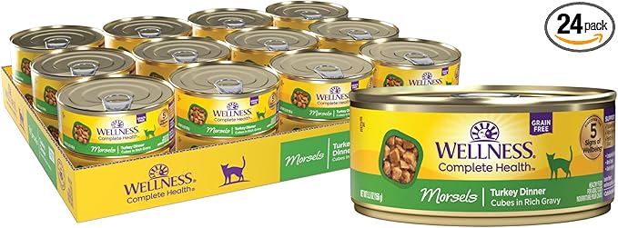 Wellness Complete Health Morsels Adult Canned Wet Cat Food, Natural, Protein Rich, Grain Free, Turkey Dinner Recipe, 5.5 oz, Pack of 24 Cans
