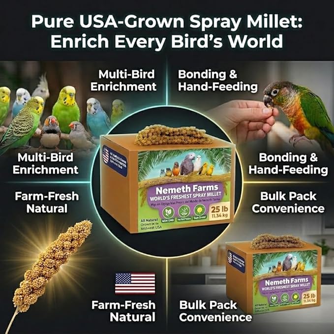Nemeth Farms Spray Millet - Edible Tops Only, Non-GMO and Sun-Dried - 25 lbs Bulk for Parakeets, Cockatiels and Parrots