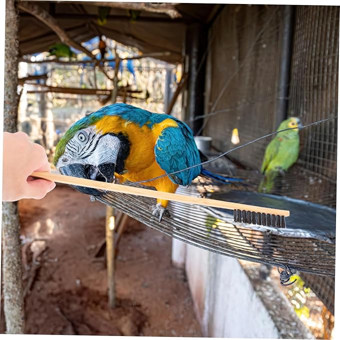 Toyvian 2pcs High Efficiency Bird Cage Cleaning Brush Pet Bird Supplies Small Animal Cage Cleaner Easy to Use