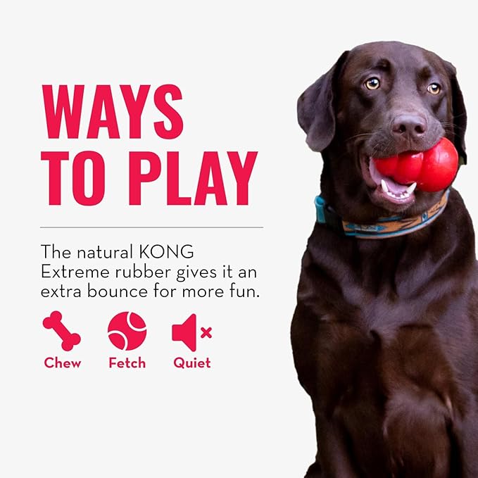 KONG Extreme Ball with Hole - Fetch Toy - Durable Dog Toy for Training, Interactive Playtime & More - Natural Extreme Rubber Ball - Black - for Large/Medium Dogs