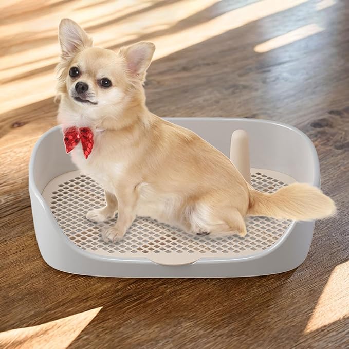 Litter Tray Pet Kitten Toilet Training Potty Pet Litter Pan Portable Design Anti Splashing Function Suitable for Small Animal Indoor Outdoor, Gray 48x37x13cm